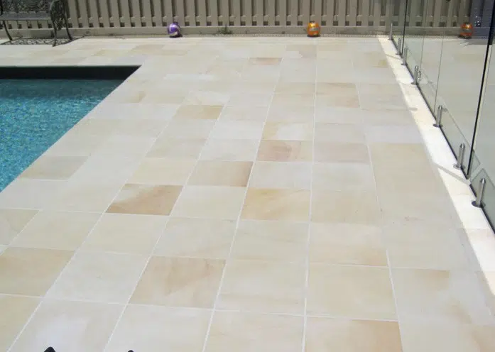 MINT FOSSIL SANDSTONE